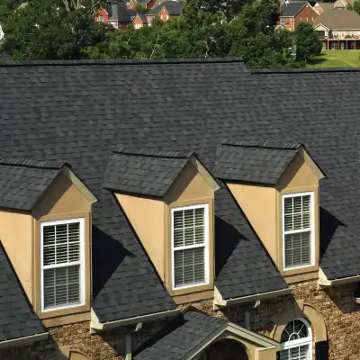 Large roof with black shingles